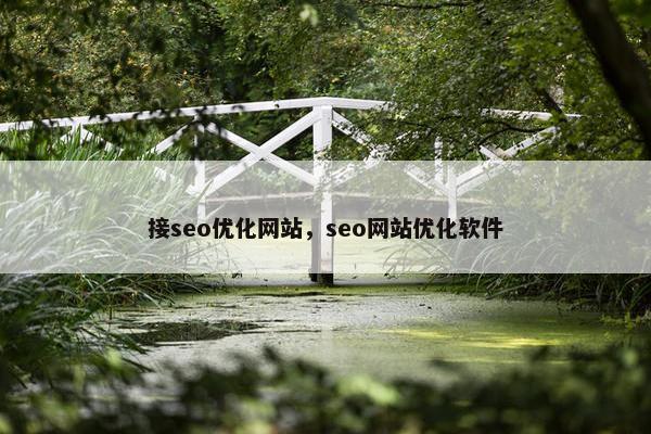 接seo优化网站，seo网站优化软件