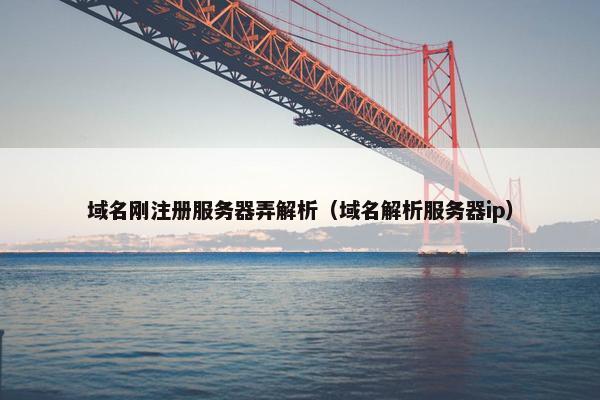 域名刚注册服务器弄解析（域名解析服务器ip）