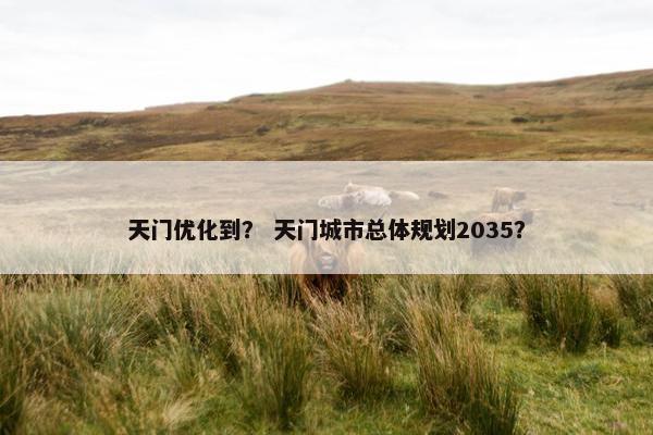 天门优化到？ 天门城市总体规划2035？