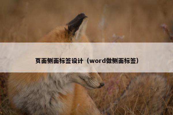 页面侧面标签设计（word做侧面标签）