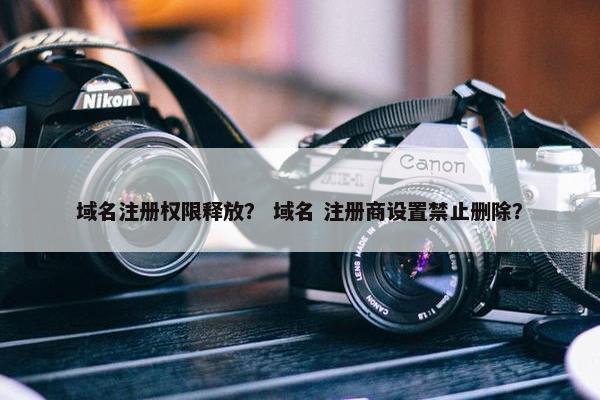 域名注册权限释放？ 域名 注册商设置禁止删除？