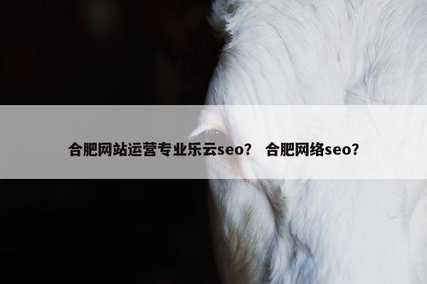 合肥网站运营专业乐云seo？ 合肥网络seo？