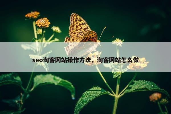 seo淘客网站操作方法，淘客网站怎么做