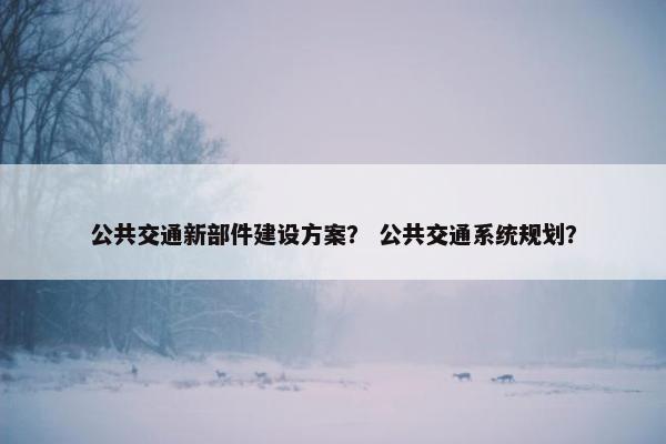 公共交通新部件建设方案？ 公共交通系统规划？