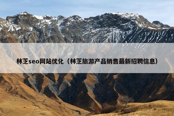 林芝seo网站优化（林芝旅游产品销售最新招聘信息）