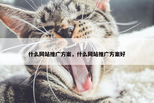 什么网站推广方案，什么网站推广方案好