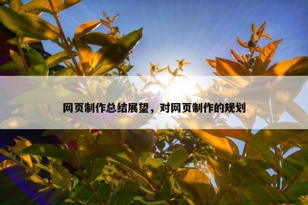 网页制作总结展望，对网页制作的规划