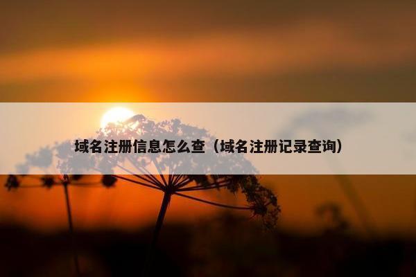 域名注册信息怎么查（域名注册记录查询）