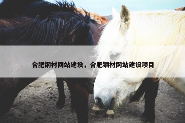 合肥钢材网站建设，合肥钢材网站建设项目
