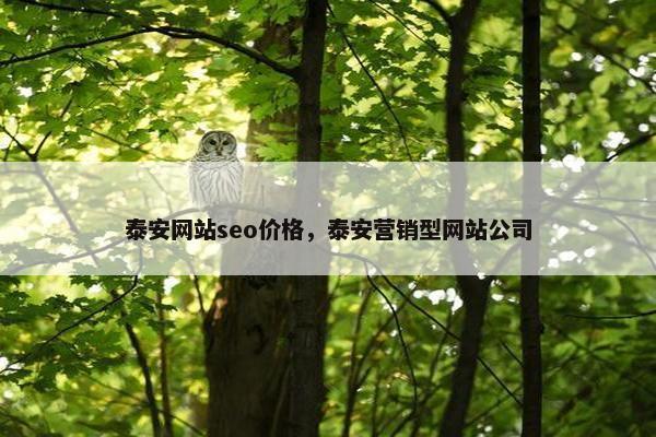 泰安网站seo价格，泰安营销型网站公司