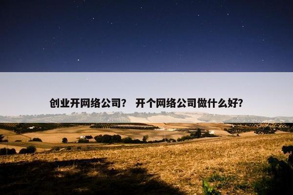 创业开网络公司？ 开个网络公司做什么好？