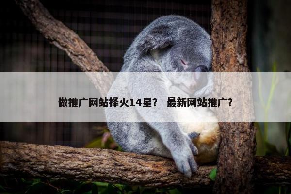 做推广网站择火14星？ 最新网站推广？