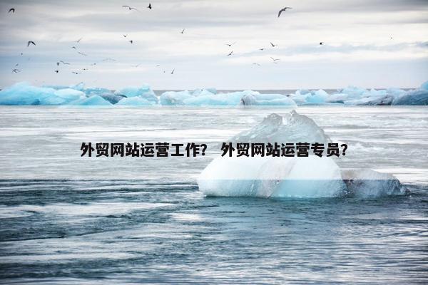外贸网站运营工作？ 外贸网站运营专员？