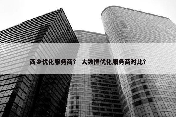 西乡优化服务商？ 大数据优化服务商对比？