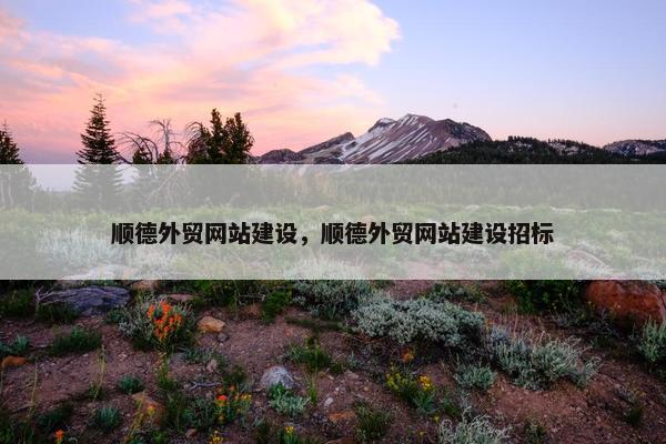 顺德外贸网站建设，顺德外贸网站建设招标
