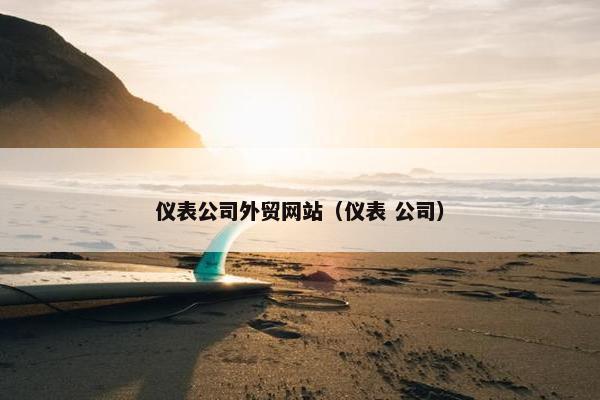 仪表公司外贸网站（仪表 公司）