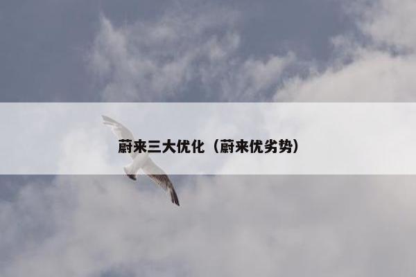 蔚来三大优化（蔚来优劣势）