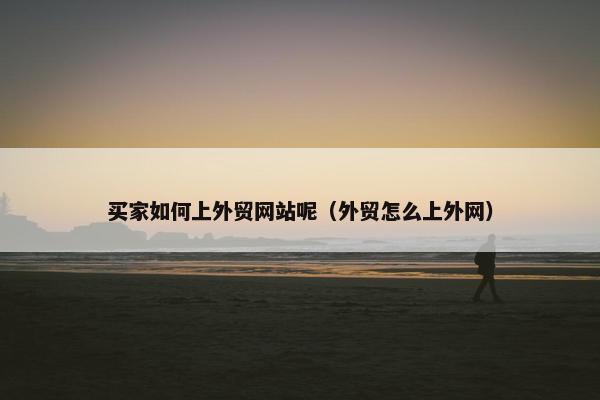 买家如何上外贸网站呢（外贸怎么上外网）