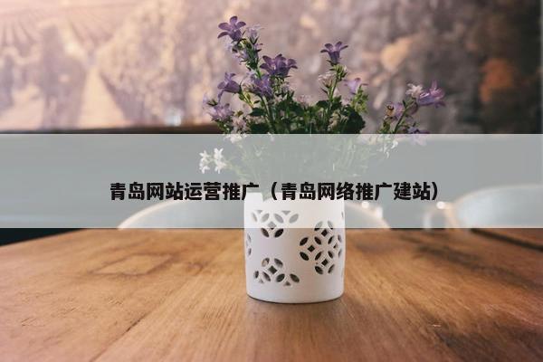 青岛网站运营推广（青岛网络推广建站）