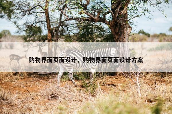 购物界面页面设计，购物界面页面设计方案