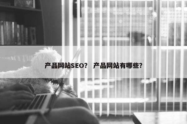 产品网站SEO？ 产品网站有哪些？