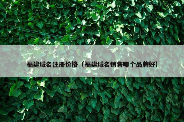 福建域名注册价格（福建域名销售哪个品牌好）