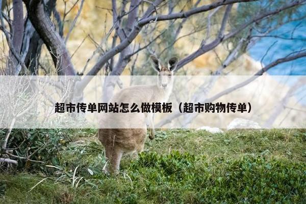 超市传单网站怎么做模板（超市购物传单）
