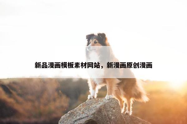 新品漫画模板素材网站，新漫画原创漫画
