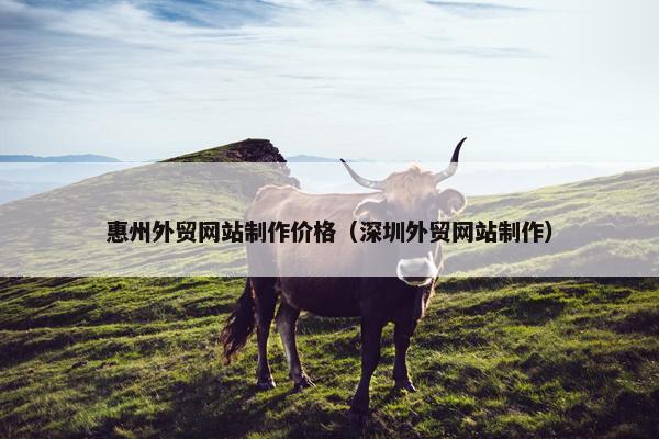 惠州外贸网站制作价格（深圳外贸网站制作）
