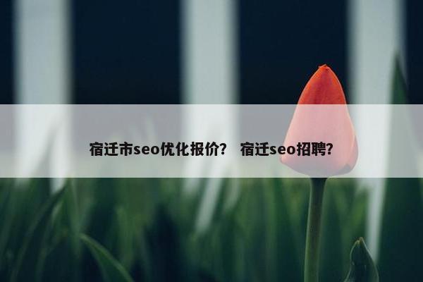 宿迁市seo优化报价？ 宿迁seo招聘？