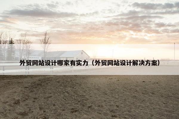 外贸网站设计哪家有实力（外贸网站设计解决方案）