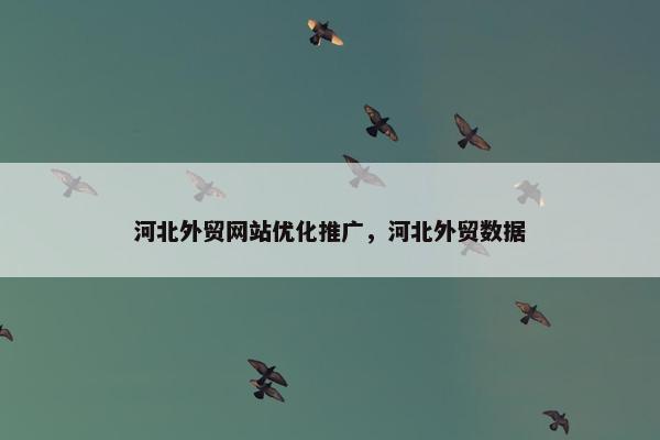 河北外贸网站优化推广，河北外贸数据