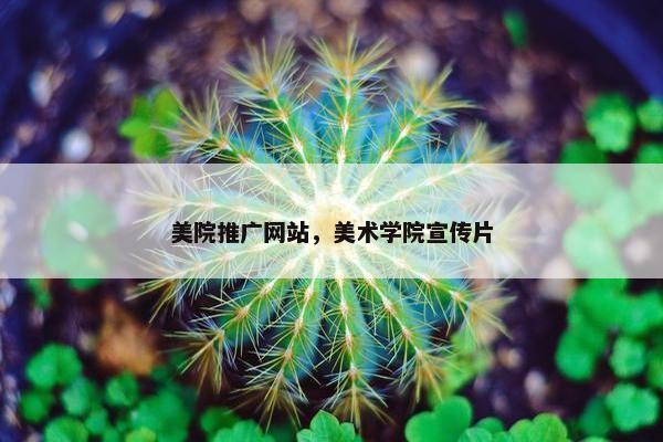 美院推广网站，美术学院宣传片