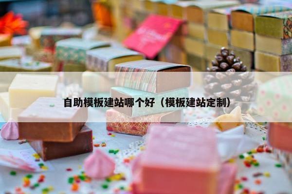 自助模板建站哪个好（模板建站定制）