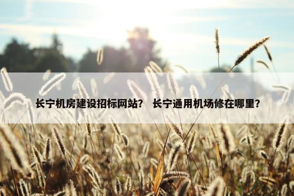 长宁机房建设招标网站？ 长宁通用机场修在哪里？