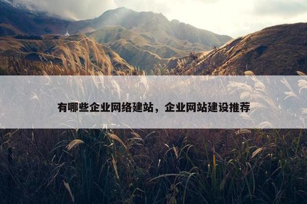 有哪些企业网络建站，企业网站建设推荐