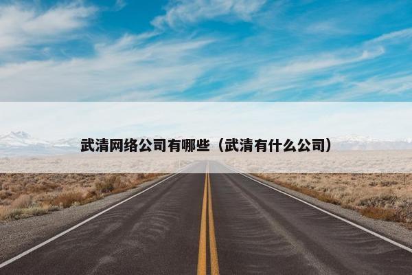 武清网络公司有哪些（武清有什么公司）