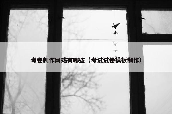 考卷制作网站有哪些（考试试卷模板制作）