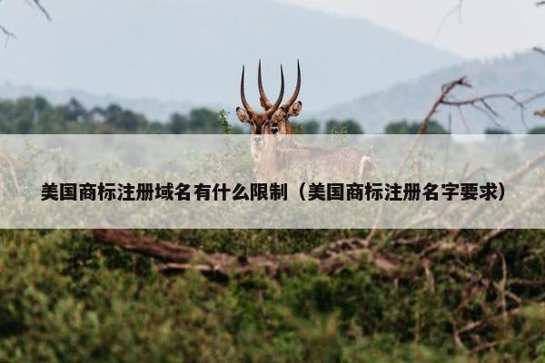 美国商标注册域名有什么限制（美国商标注册名字要求）