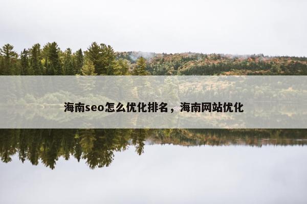 海南seo怎么优化排名，海南网站优化