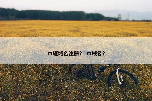 tt短域名注册？ tt域名？