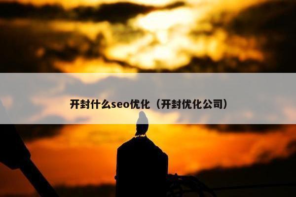 开封什么seo优化（开封优化公司）