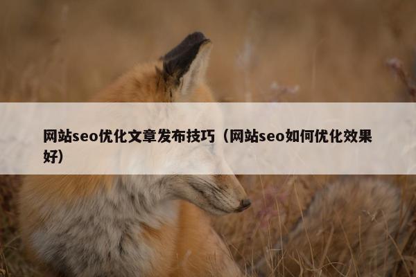 网站seo优化文章发布技巧（网站seo如何优化效果好）