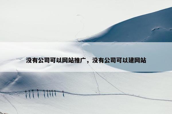 没有公司可以网站推广，没有公司可以建网站
