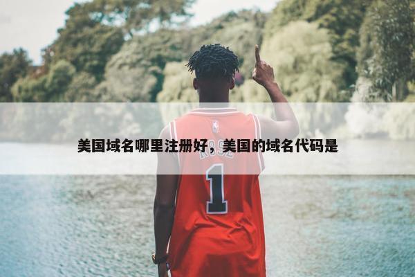 美国域名哪里注册好，美国的域名代码是