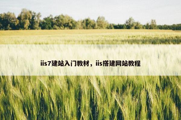 iis7建站入门教材，iis搭建网站教程