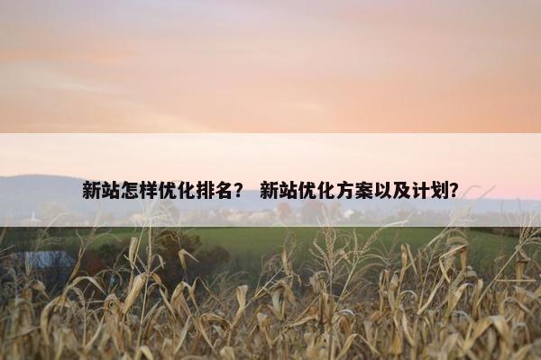 新站怎样优化排名？ 新站优化方案以及计划？