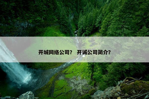 开城网络公司？ 开诚公司简介？