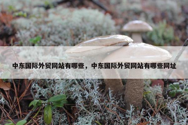中东国际外贸网站有哪些，中东国际外贸网站有哪些网址