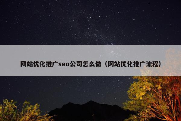 网站优化推广seo公司怎么做（网站优化推广流程）